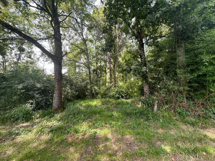 Image No.2-Propriété à vendre à Taizé-Aizie