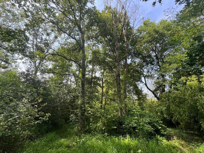 Image No.3-Propriété à vendre à Taizé-Aizie