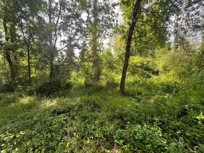 Image No.4-Propriété à vendre à Taizé-Aizie