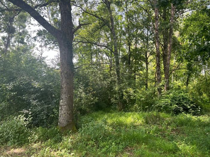 Image No.5-Propriété à vendre à Taizé-Aizie