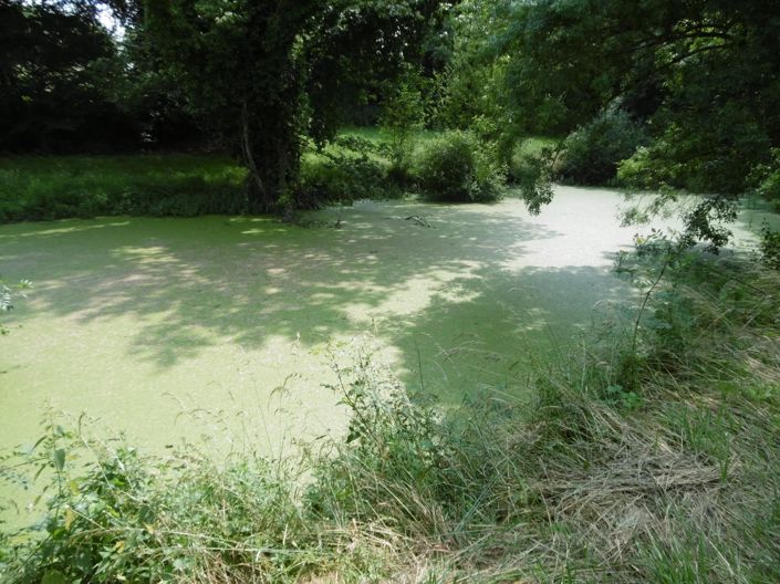 Image No.15-5 Bed House for sale