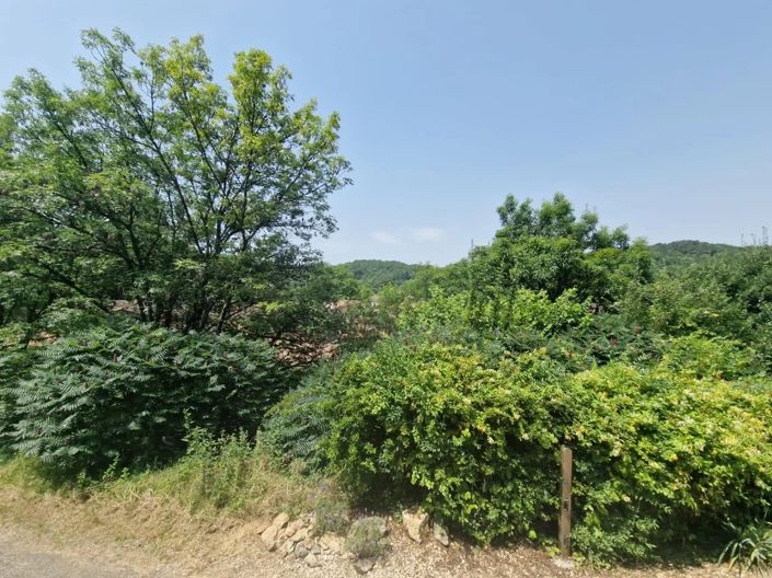 Image No.14-4 Bed House for sale