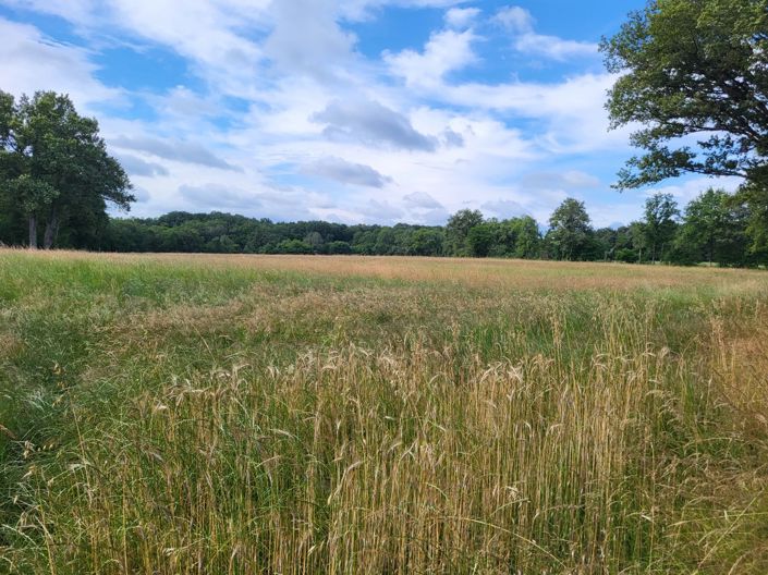 Image No.1-Propriété à vendre à Chaillac