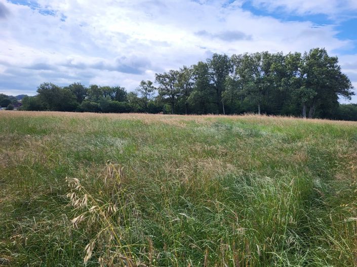 Image No.2-Property for sale