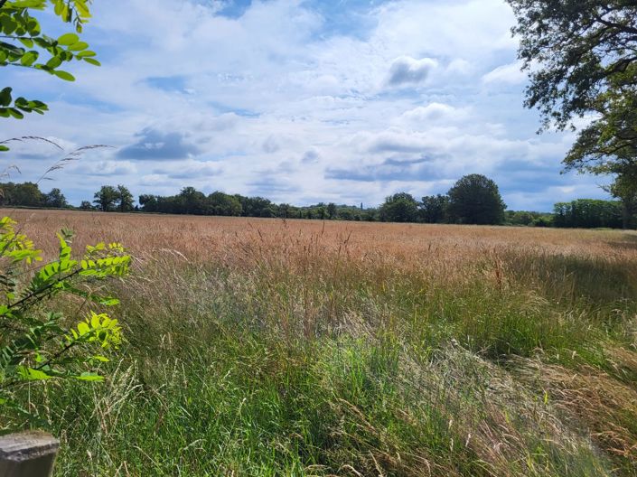 Image No.4-Property for sale