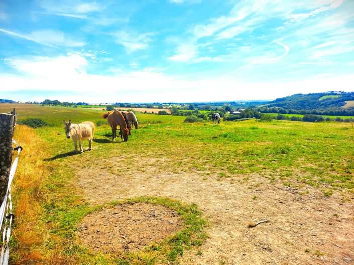 Image No.15-Maison de 3 chambres à vendre à Montirat