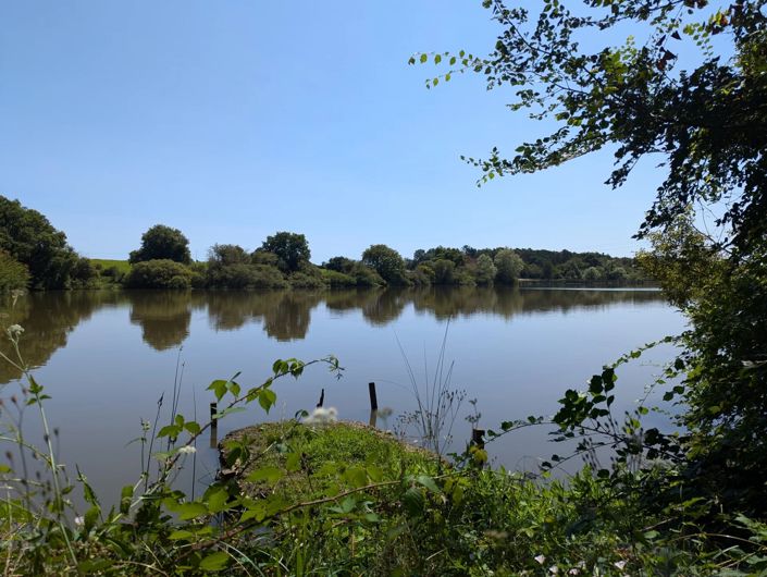 Image No.2-9 Bed House for sale