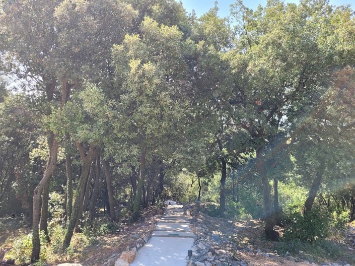 Image No.7-Maison de 3 chambres à vendre à Herault