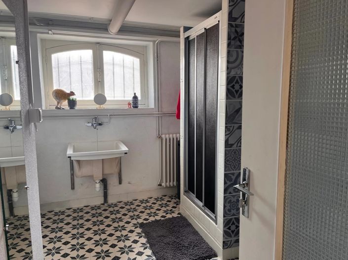 Image No.14-Maison de 8 chambres à vendre à Rochechouart