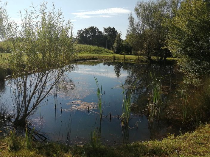 Image No.4-6 Bed House for sale