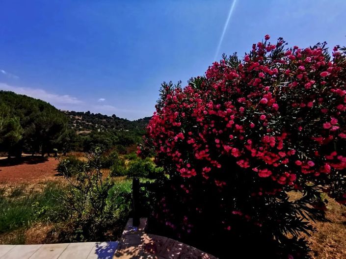 Image No.15-Maison de 7 chambres à vendre à Le Plan-de-la-Tour