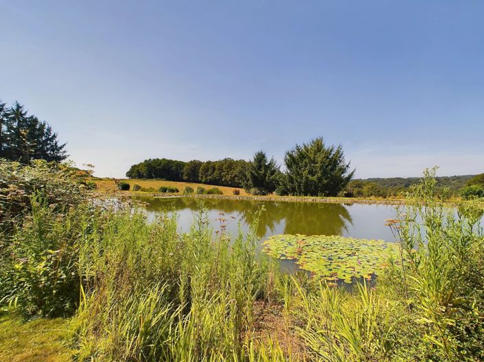 Image No.11-5 Bed House for sale