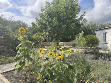 d887f57f23791bc3976106bc3f7efbfee63bde6092192