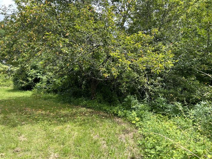 Image No.2-Propriété à vendre à Curac