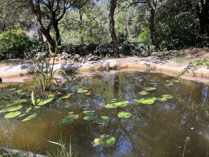 Image No.14-3 Bed House for sale