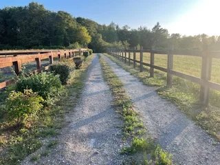 Image No.13-3 Bed House for sale