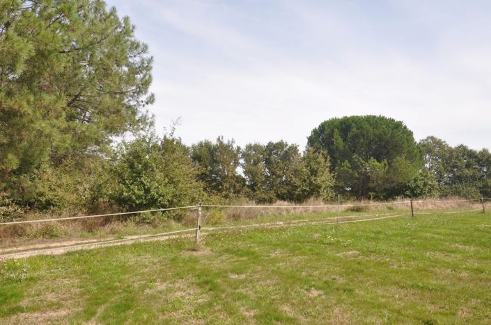 Image No.14-3 Bed House for sale