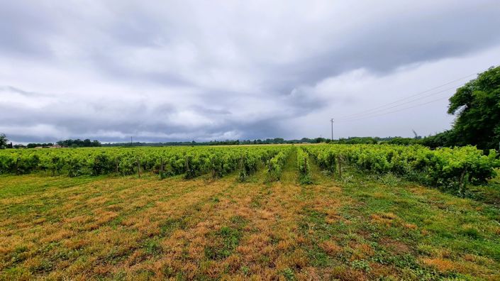 Image No.12-Maison de 4 chambres à vendre à Cérons