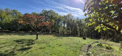 6c4be67b914116945c61a9a70b5012d7be0c83ebc9192