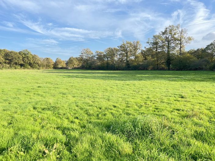 Image No.2-Maison de 3 chambres à vendre à Le Dorat