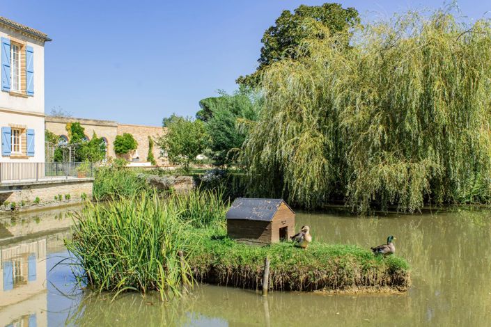 Image No.14-Maison de 10 chambres à vendre à Montauban