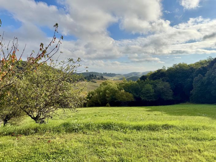 Image No.13-10 Bed House for sale