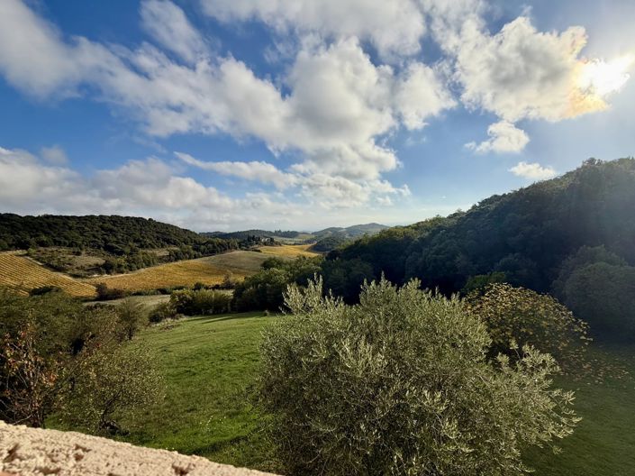 Image No.14-10 Bed House for sale