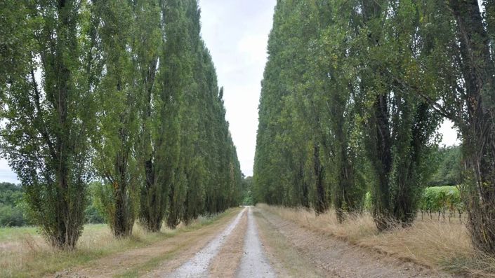 Image No.2-8 Bed House for sale