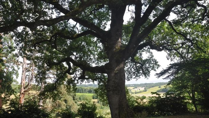 Image No.8-8 Bed House for sale