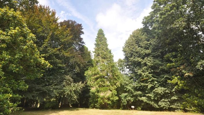 Image No.9-8 Bed House for sale