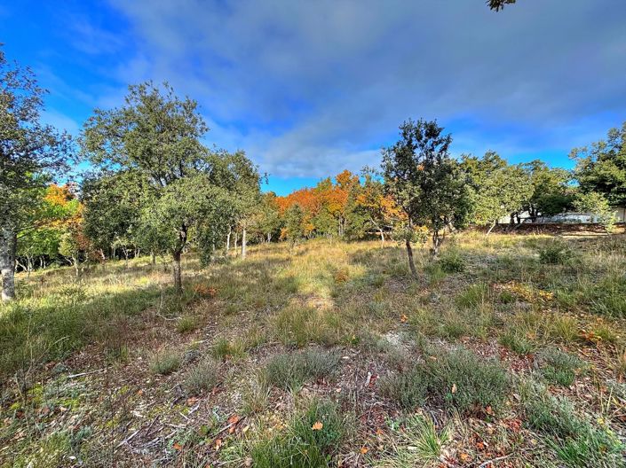 Image No.2-Property for sale