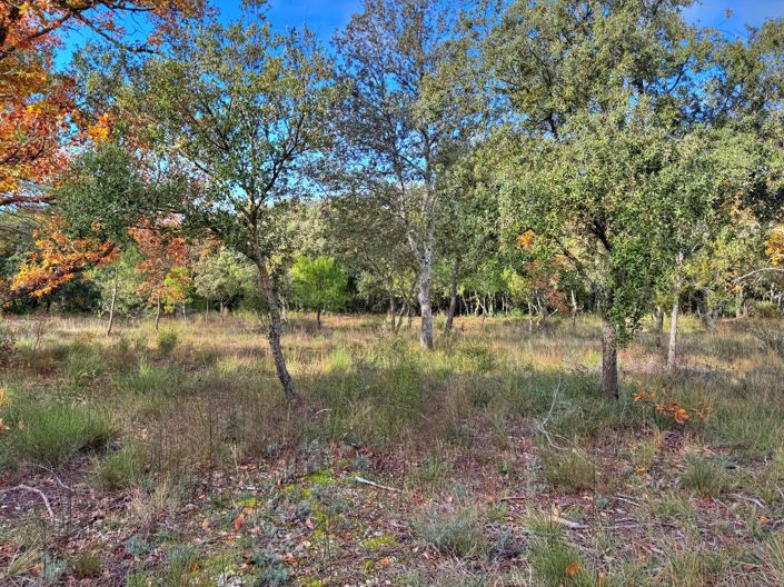 Image No.3-Property for sale