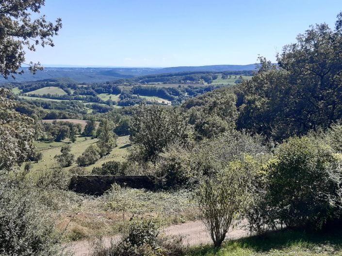 Image No.5-5 Bed House for sale