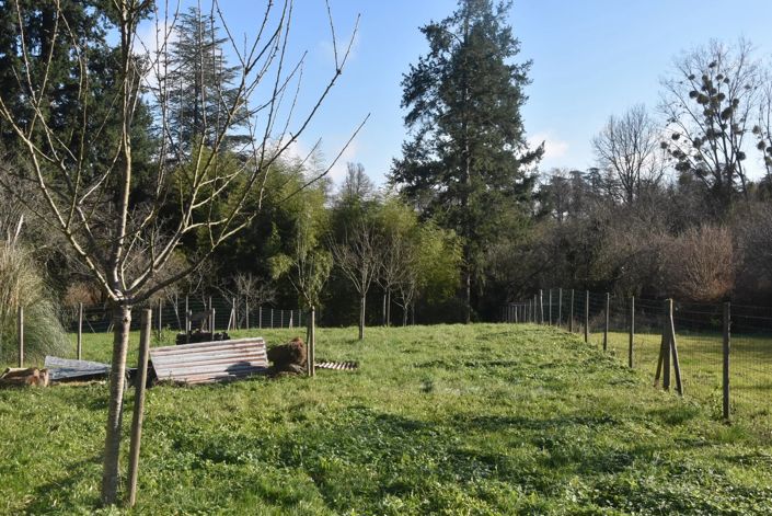 Image No.14-Village House for sale