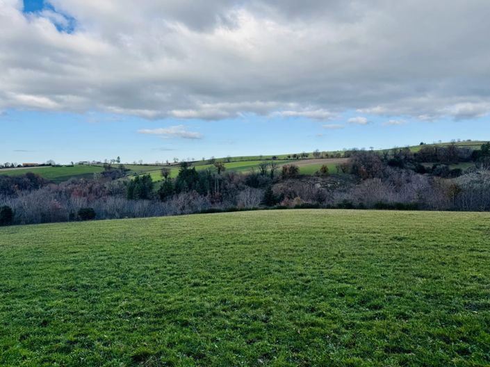 Image No.2-Barn for sale