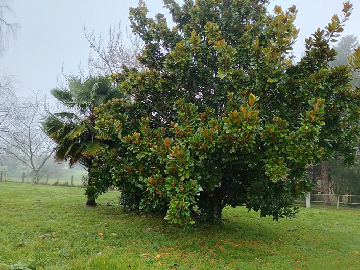 Image No.5-3 Bed House for sale