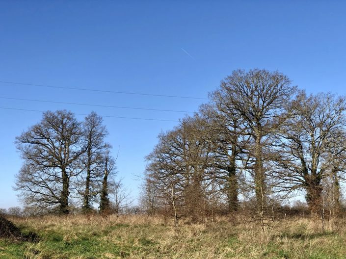Image No.14-Maison de 2 chambres à vendre à Val-d'Oire-et-Gartempe