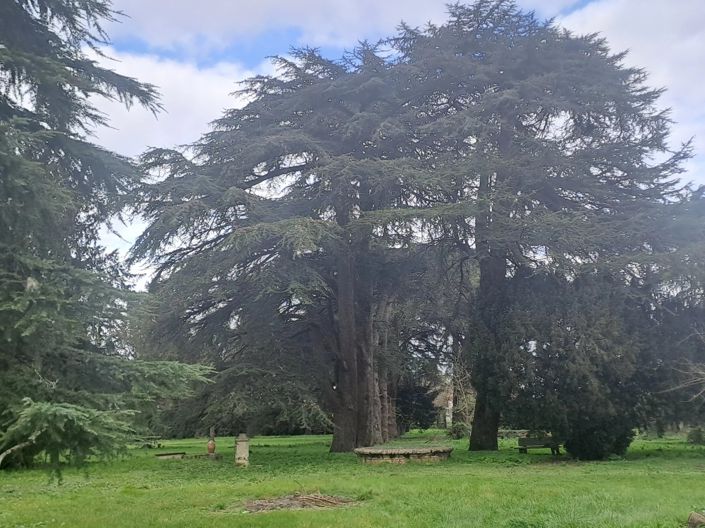 Image No.14-3 Bed House for sale