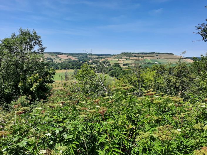 Image No.13-Maison de 2 chambres à vendre à Cordes-sur-Ciel