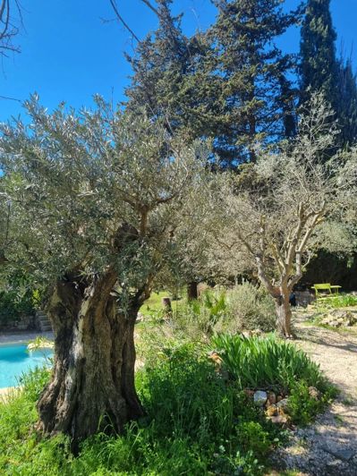 Image No.7-7 Bed House for sale