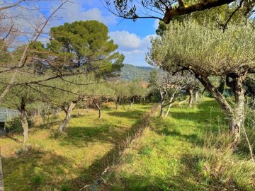 1 - Salernes, Property