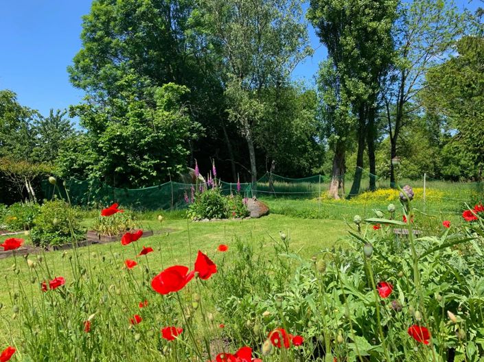 Image No.2-Maison de 2 chambres à vendre à Deux-Sevres