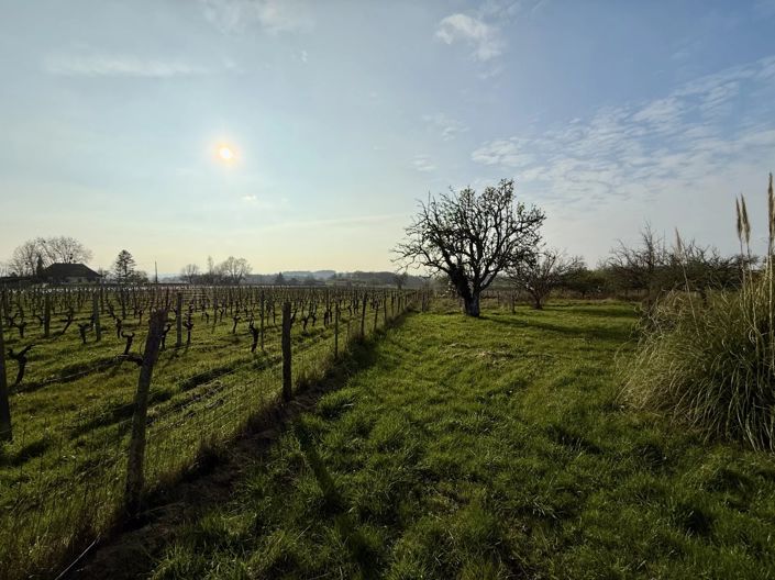 Image No.15-4 Bed House for sale