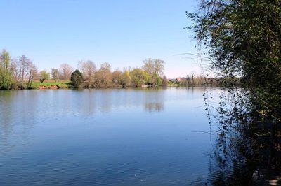 943378608c71697af96ca4cda5ee4326a500576426409