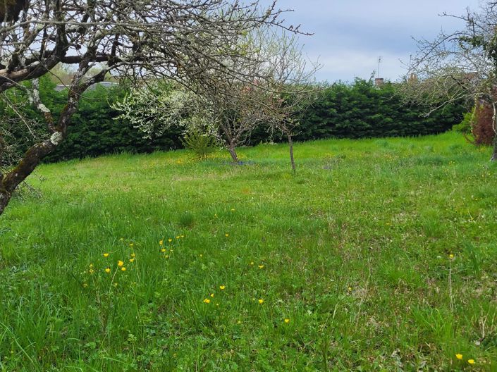 Image No.14-3 Bed House for sale