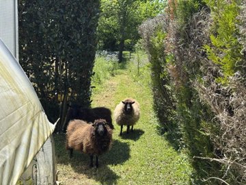 876ec3975a02af8ee39a779dac169324767d20806c192