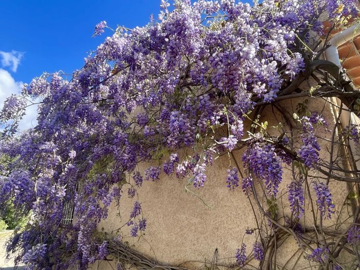 Image No.11-4 Bed House for sale