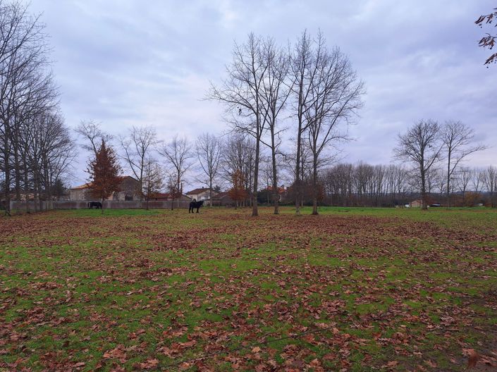 Image No.14-4 Bed House for sale