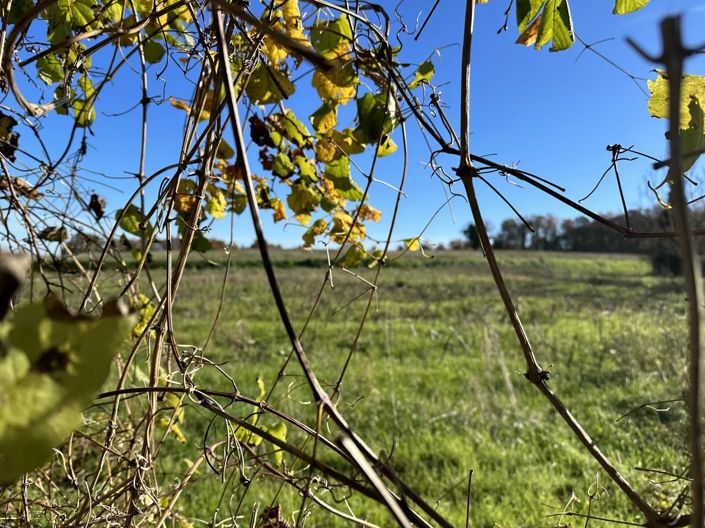 Image No.14-3 Bed Village House for sale