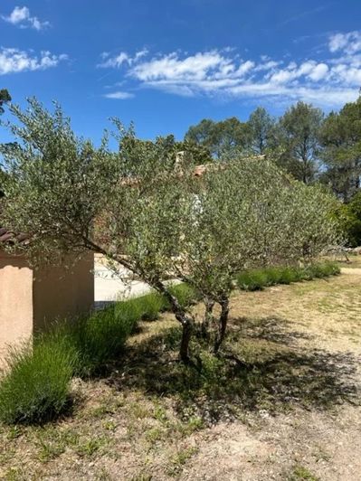 Image No.15-2 Bed House for sale